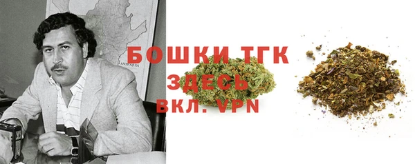 эйфоретик Богородск