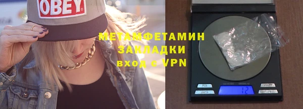 прущие грибы Богданович