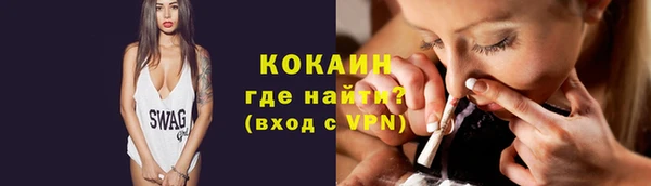 прущие грибы Богданович