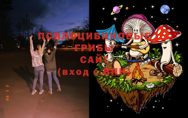 прущие грибы Богданович