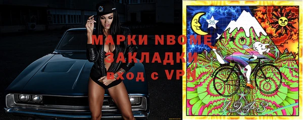 прущие грибы Богданович