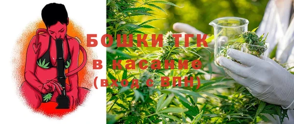 эйфоретик Богородск