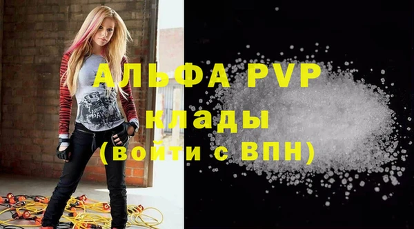 прущие грибы Богданович