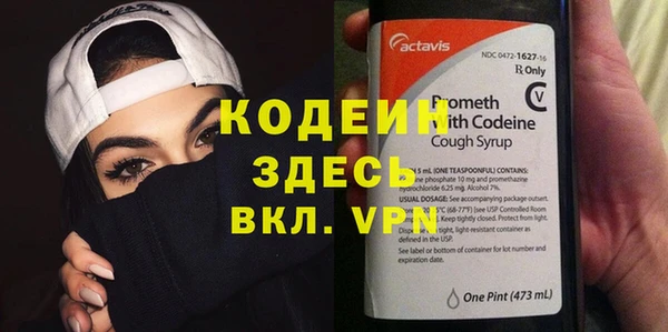 прущие грибы Богданович