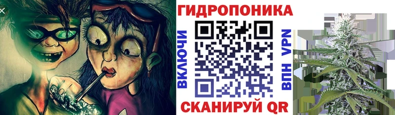 магазин продажи наркотиков  Камешково  Бошки марихуана MAZAR 